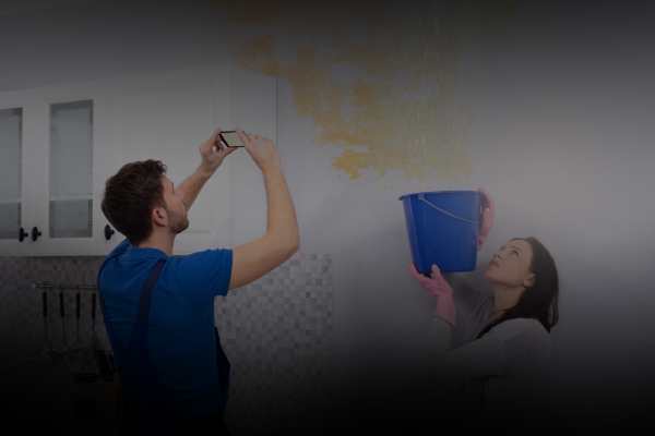 Expert Mold Removal Services in Baltimore Near me